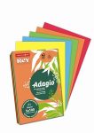   REY Adagio színes másolópapír, intenzív mix, A4, 80 g, 5x100 lap/csomag