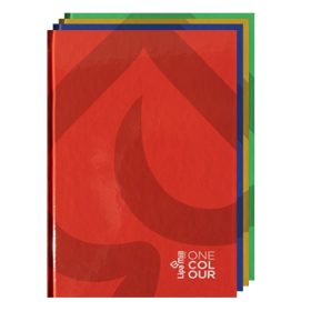   Beíró A/5 96 lapos, keményfedel vonalas egyszínű borítóval Petit Plus