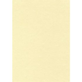   Előnyomott papír, A4, 95 g, pergamen hatású, Apli, pezsgő 100 lap/csom