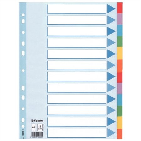 Regiszter, karton, A4, 12 részes, írható előlappal, Esselte Standard, színes (100194)