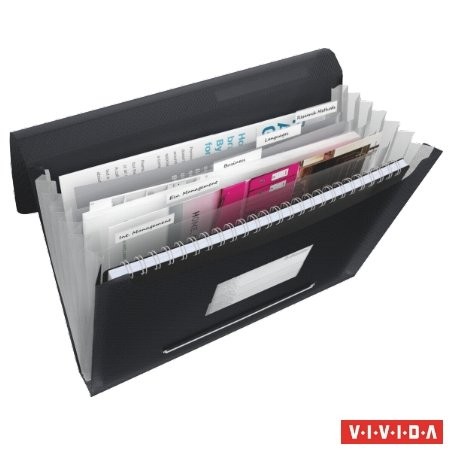Harmonika mappa, A4, PP, 6 rekeszes, Esselte Vivida, fekete (624017)