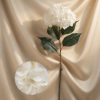 Hortenzia (Hydrangea) prémium dekorációs művirág szál 88cm, krém színű
