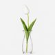 Tulipán dekorációs művirág szál 50cm, krém színű