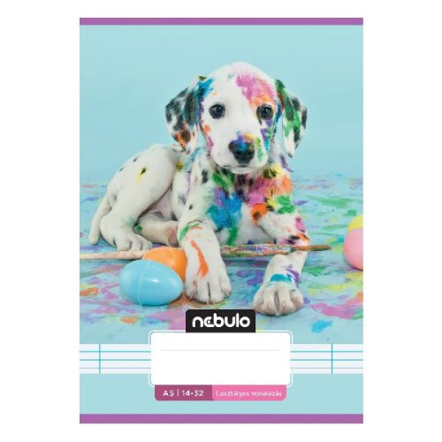 Füzet vonalas Nebulo A/5 32 lapos 14-32 1. osztályos Cuki minták