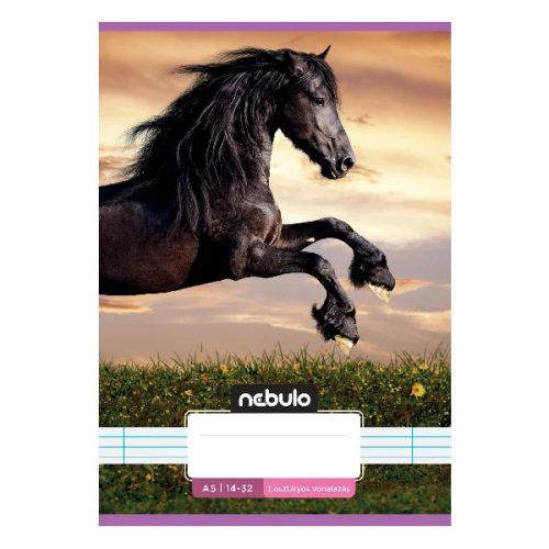 Füzet vonalas Nebulo A/5 32 lapos 14-32 1. osztályos Cuki minták