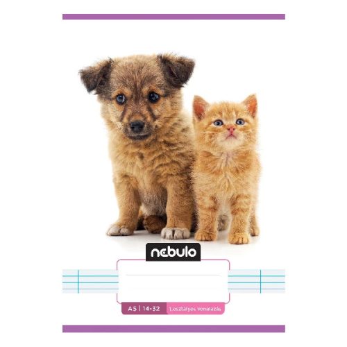 Füzet vonalas Nebulo A/5 32 lapos 14-32 1. osztályos Cuki minták