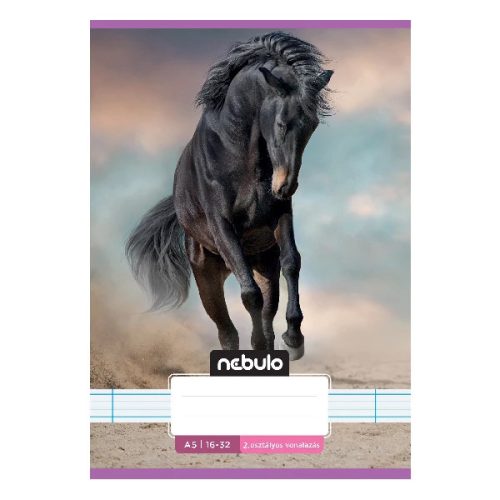Füzet vonalas Nebulo A/5 32 lapos 16-32 2. osztályos Cuki minták