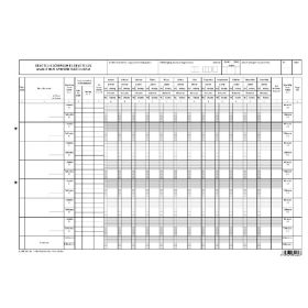   Bevételi előírások és bevételek analitikus nyilvántartó lapja A/3 fekvő C.318-29