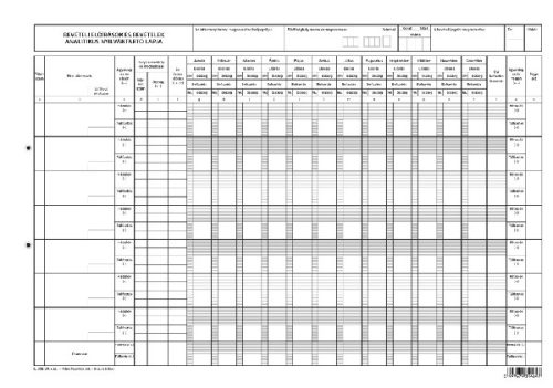 Bevételi előírások és bevételek analitikus nyilvántartó lapja A/3 fekvő C.318-29