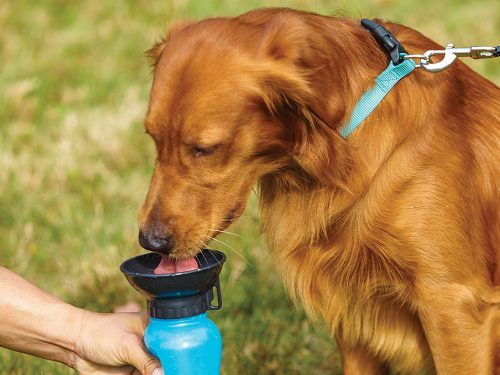 Aqua Dog BPA mentes itató kulacs kutyáknak 500ml 